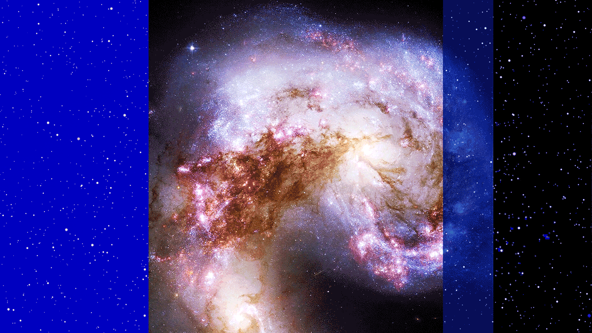 Astrophysics Research Division